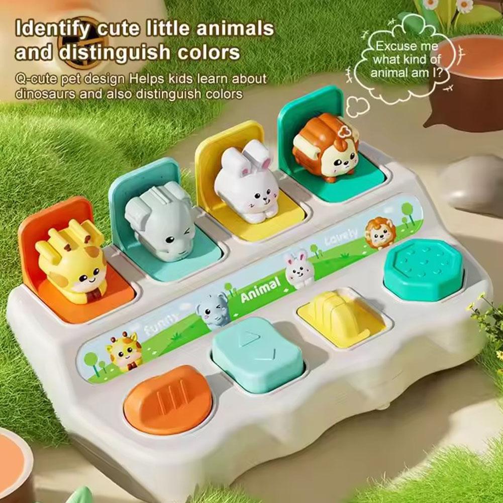 몬테소리 팝업 동물 장난감 및 학습 상자 - 논리력과  - Kids Educational Box 리뷰 및 가격