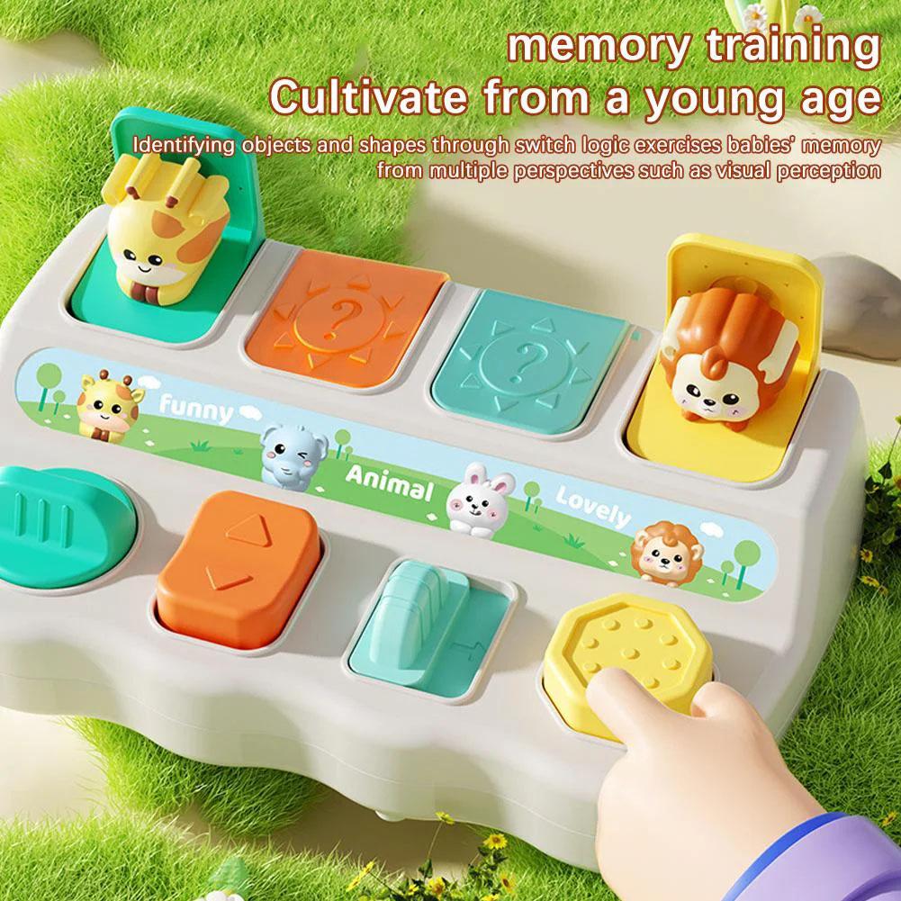몬테소리 팝업 동물 장난감 및 학습 상자 - 논리력과  - Kids Educational Box 리뷰 및 가격