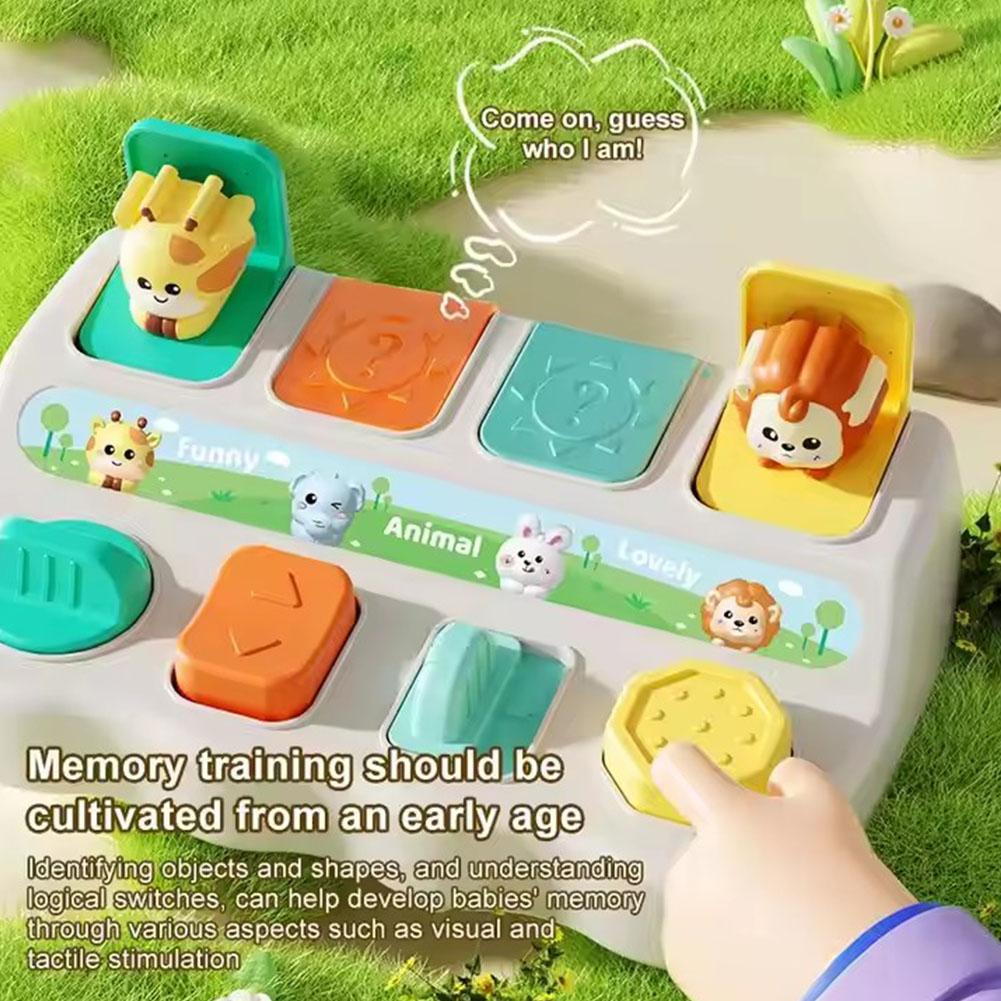 인터랙티브 팝업 동물 장난감 어린이 숨바꾸기 스위치 박 - Kids Educational Box 리뷰 및 가격