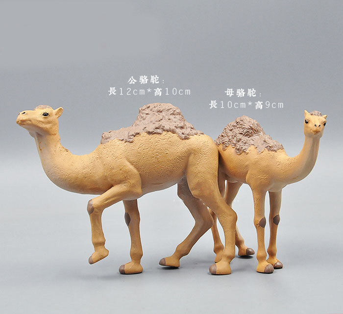 시뮬레이션 동물 모델 장난감 야생 동물 그림 호랑이 사 - Kangaroo Kids Education 리뷰 및 가격