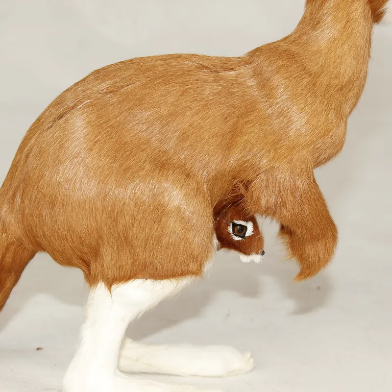 실물 같은 캥거루 손인형 봉제 장난감, 부드러운 털의  - Kangaroo Kids Education 리뷰 및 가격